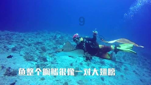 西藏亚东县切玛村:结对共建鱼水情深 同心共创美丽乡村